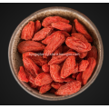 Hot sell Organic Goji Berry